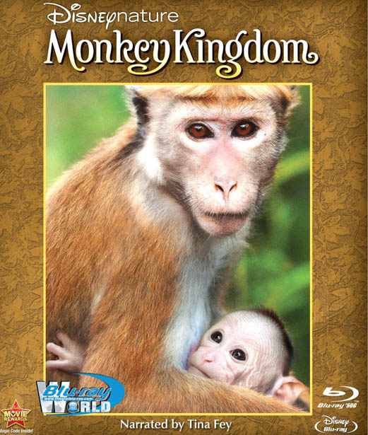 F769. Monkey Kingdom 2015 - VƯƠNG QUỐC LOÀI KHỈ 2D50G (DTS-HD MA 5.1)